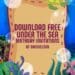 FREE Editable Under the Sea Birthday Invitations