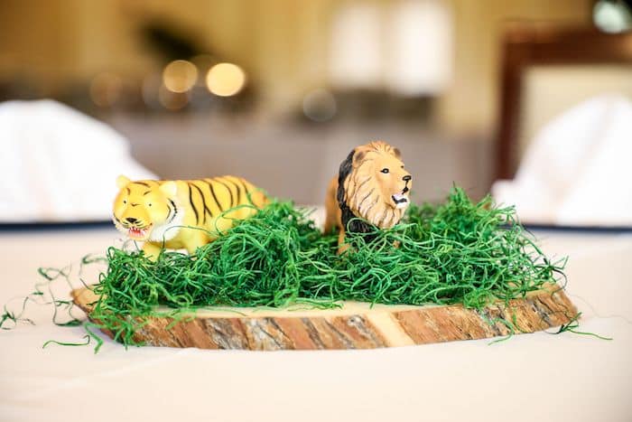 Safari Birthday Party Centerpieces