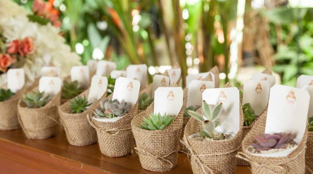 Succulent Wedding Favors