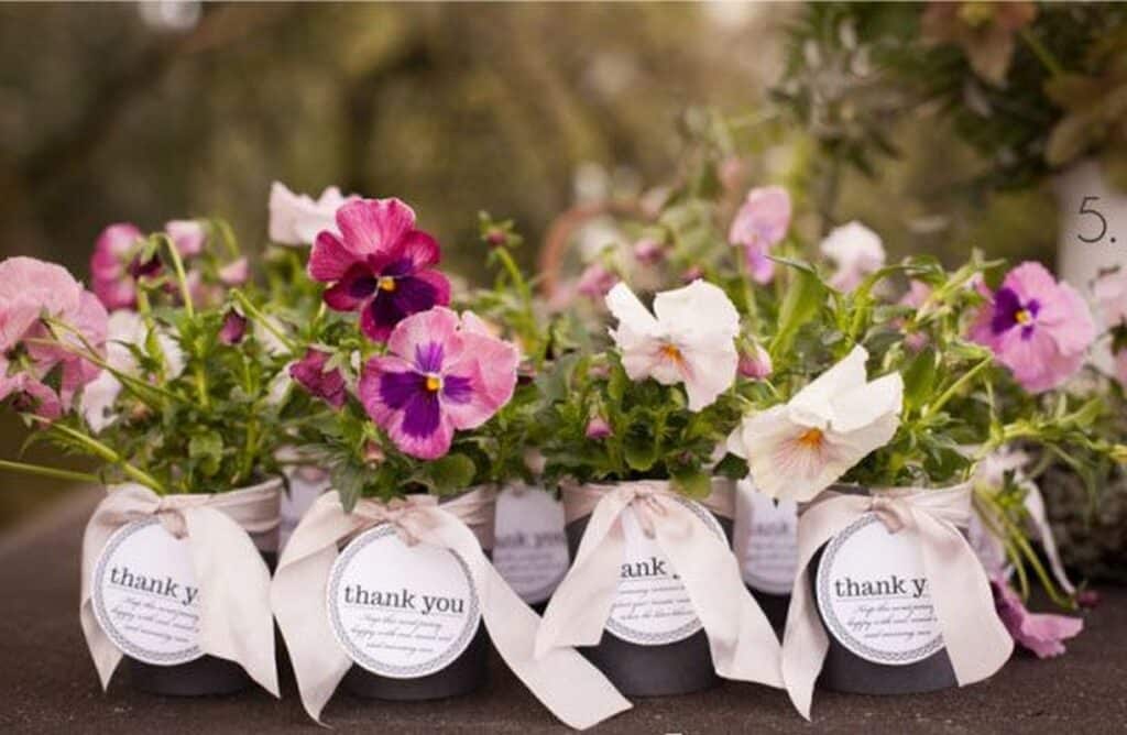 Potted Plants Wedding Favours