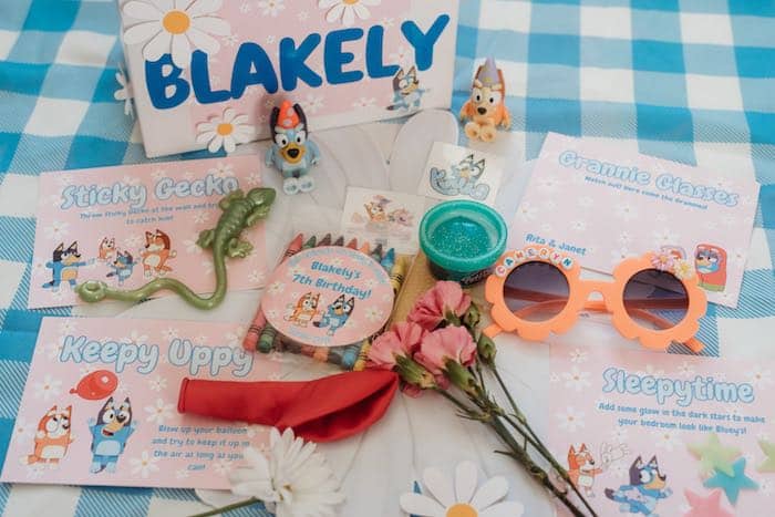 Bluey Goodies