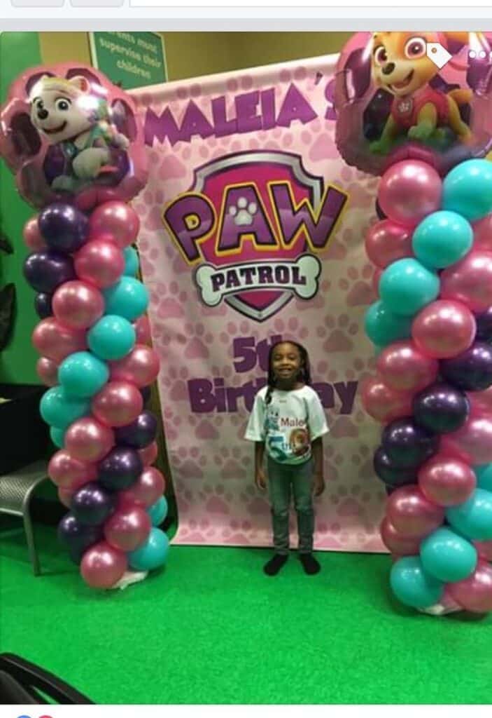 PAW Patrol Backdrop With Stunning Balloon Arch/Entrance