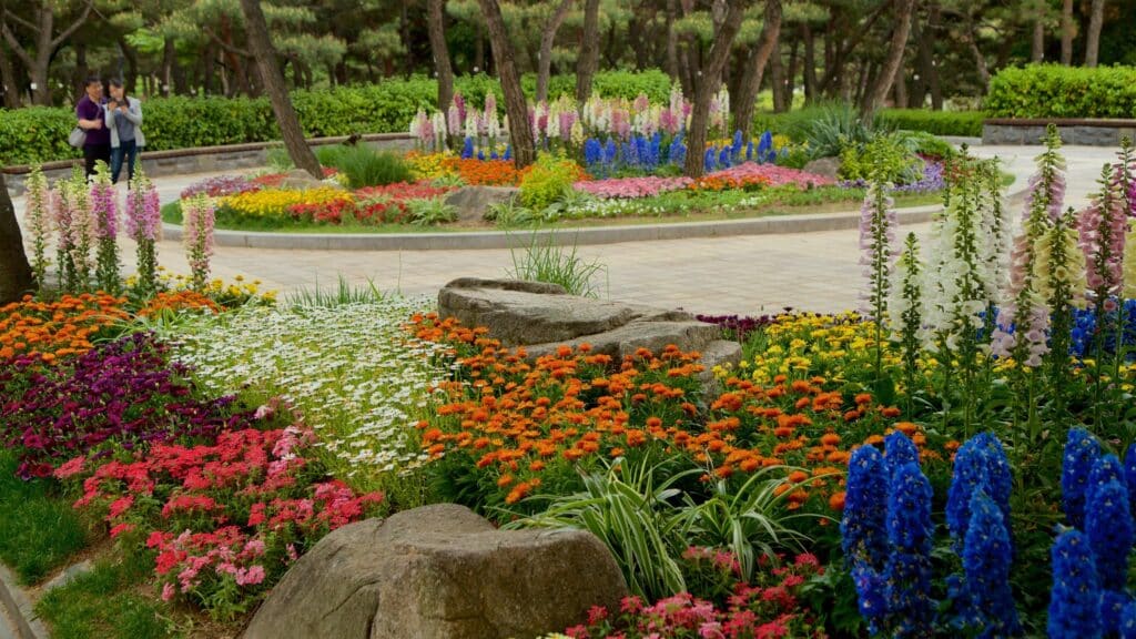 Botanical Park with daisy and delphinium flowers