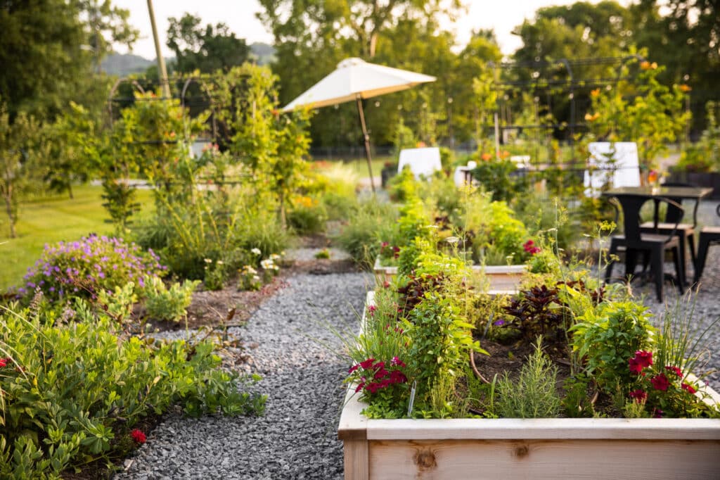 Backyard Garden Party with vase greenery, aesthetic parasol and more