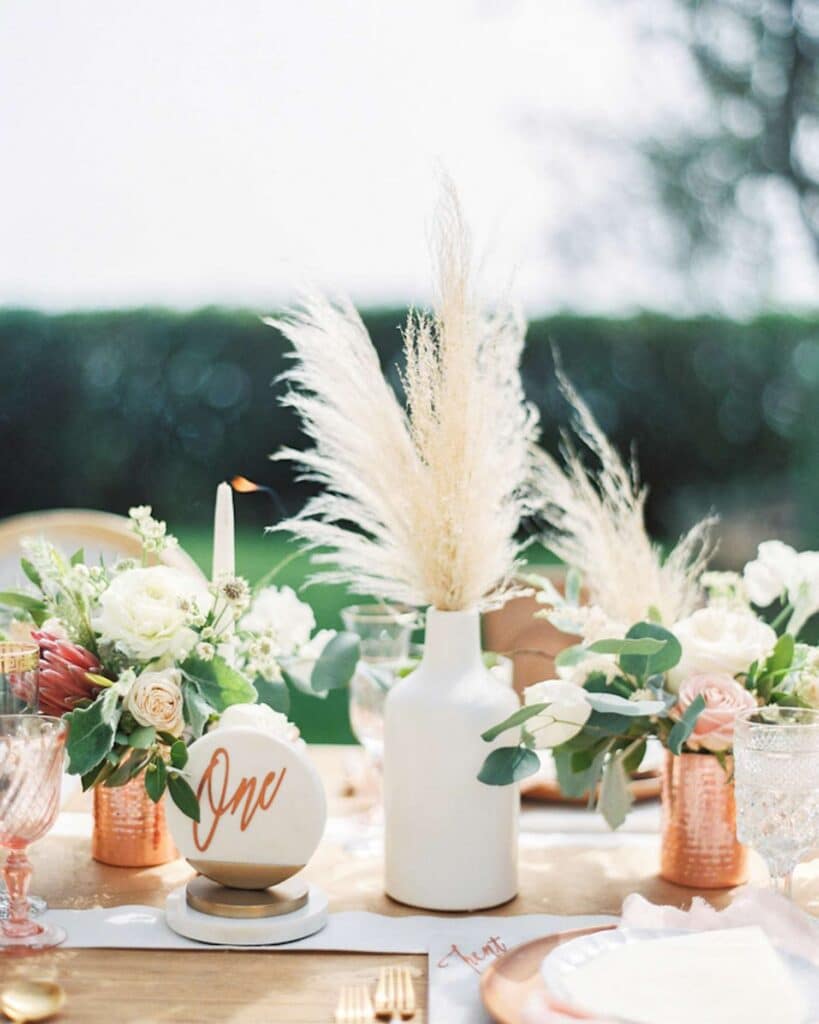 Aesthetic Pampas in white vase