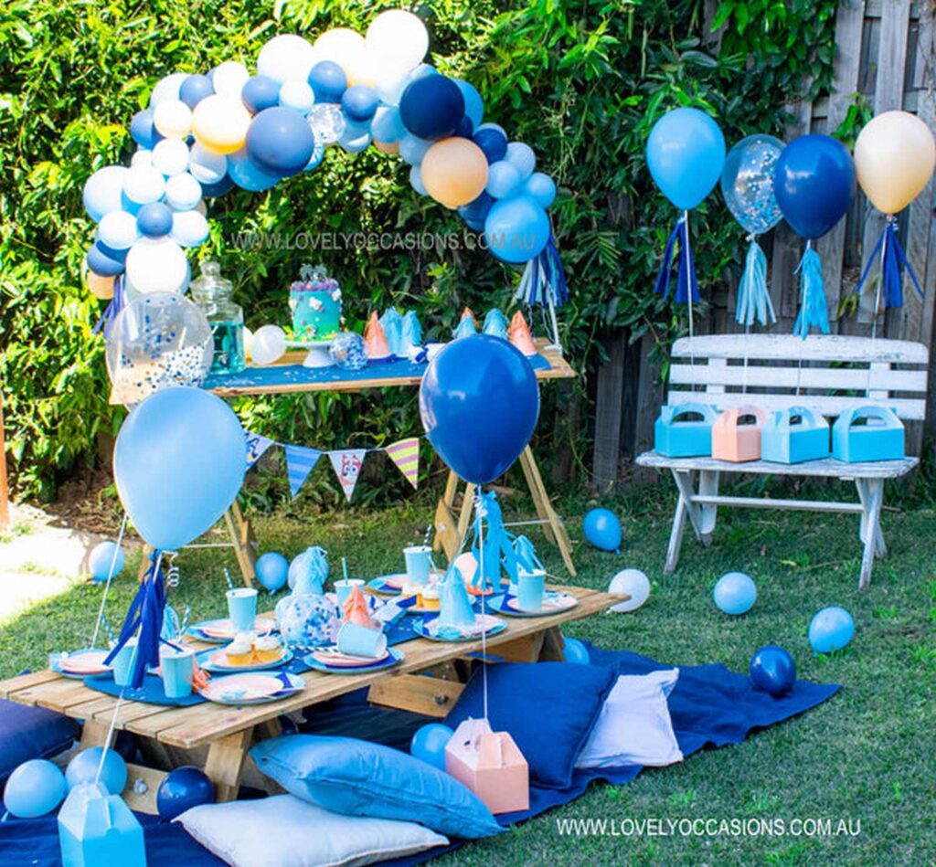 Bluey Backyard Picnic Party