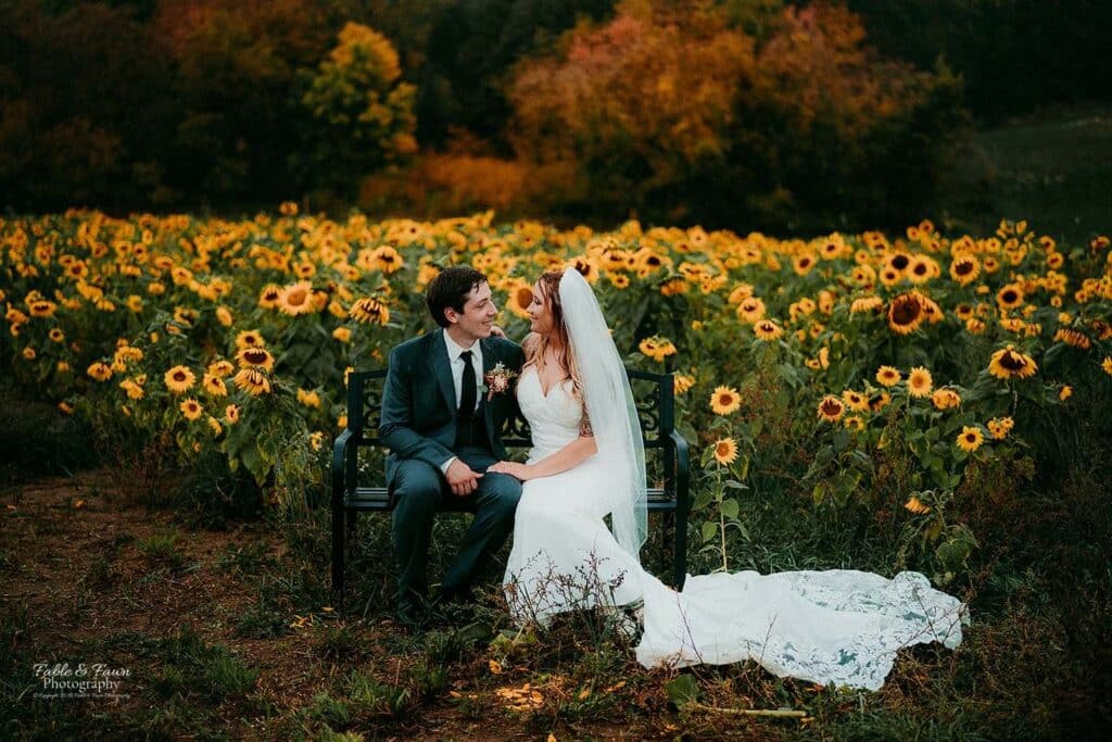 Beautiful Bride and Groom in vast garden full of sunflower blooms