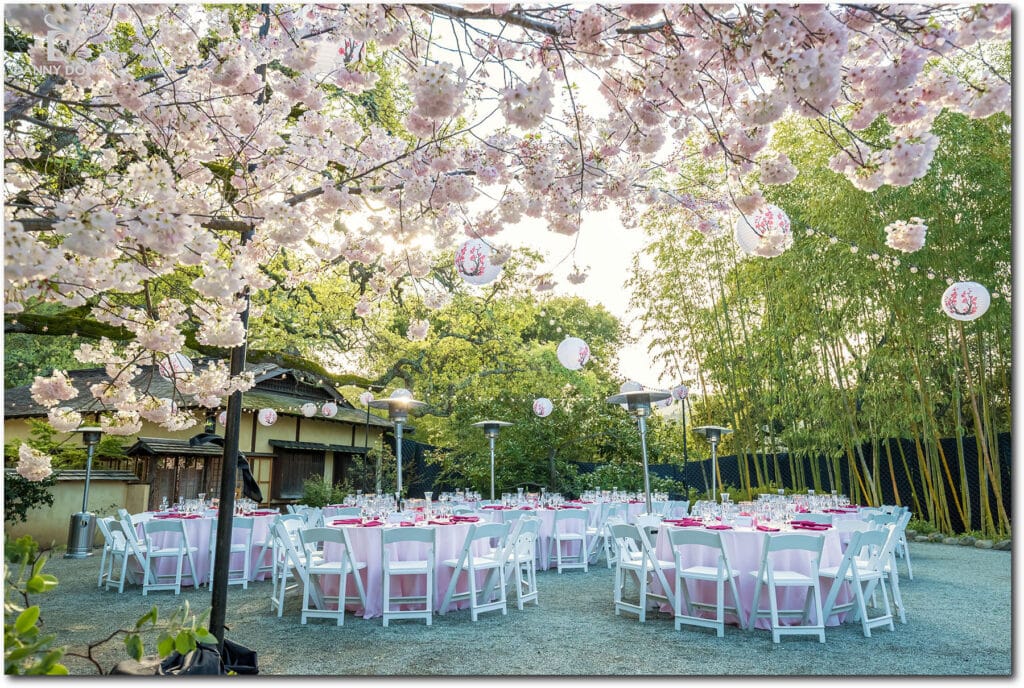 Hakone Garden Sakura Wedding