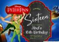 Peter Pan and Tinker Bell Birthday Invitations (Credit: drevio)