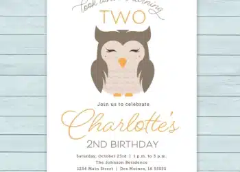 Owl Birthday Invitations (Credit: etsy)